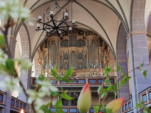 Bild des Veranstaltungsortes