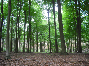 Bild des Veranstaltungsortes