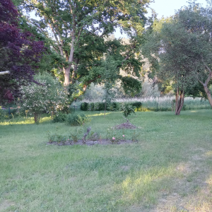 Bild des Veranstaltungsortes