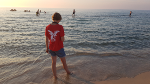 Bild der Veranstaltung