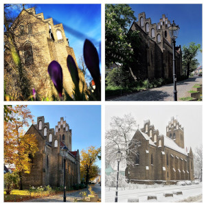 Bild der Veranstaltung