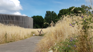 Bild der Veranstaltung