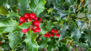 Bild der Veranstaltung