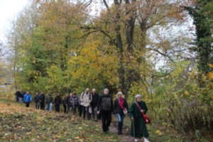 Bild der Veranstaltung