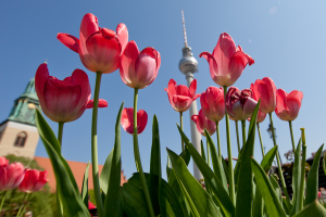 Bild der Veranstaltung