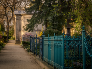 Bild der Veranstaltung