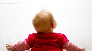 Bild der Veranstaltung