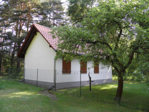 Bild der Veranstaltung