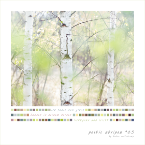 Bild der Veranstaltung