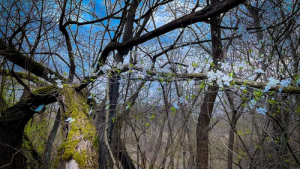 Bild der Veranstaltung