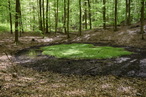 Bild der Veranstaltung