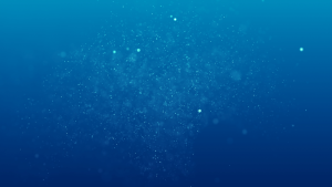 Bild der Veranstaltung