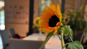 Bild der Veranstaltung