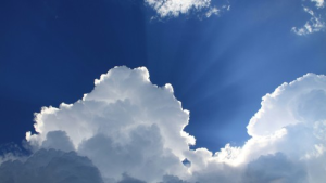 Bild der Veranstaltung