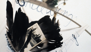 Bild der Veranstaltung