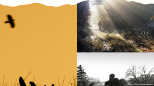 Bild der Veranstaltung