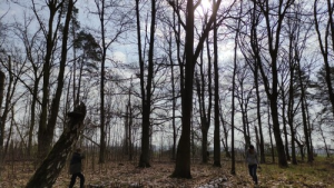 Bild der Veranstaltung